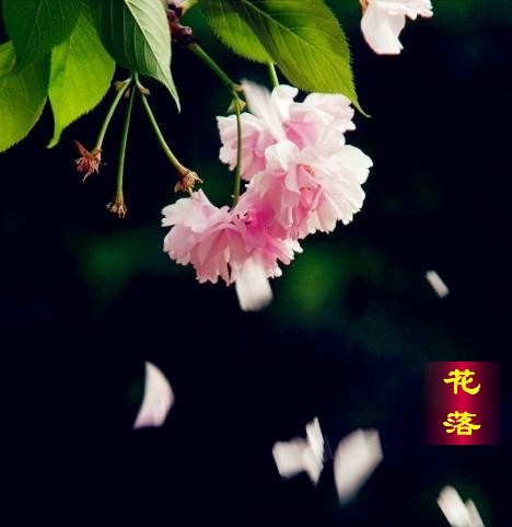 从余东风《微诗四首》第六期（总第210期）选刊的作品（图2）