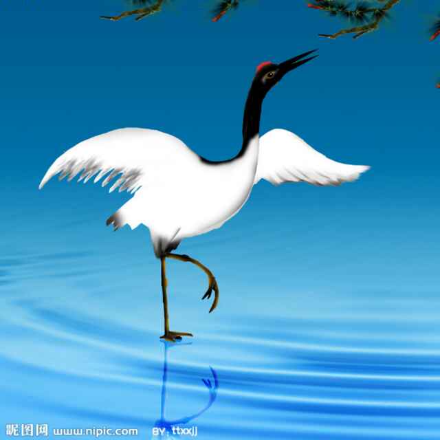 picname