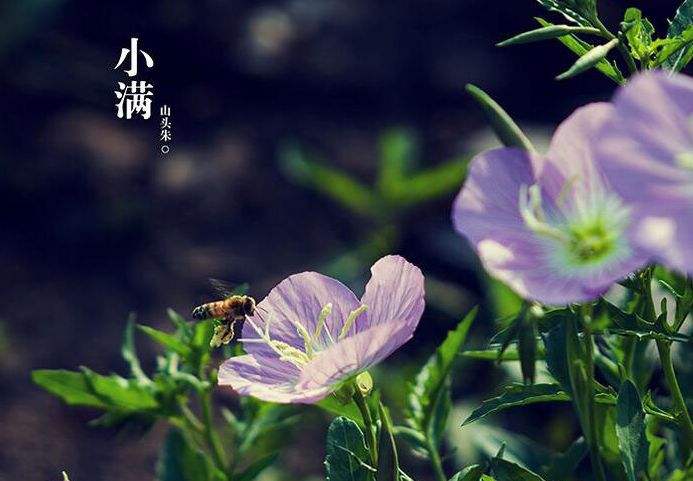 picname