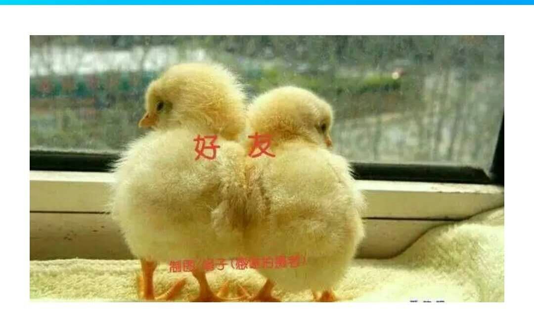 picname