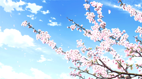picname