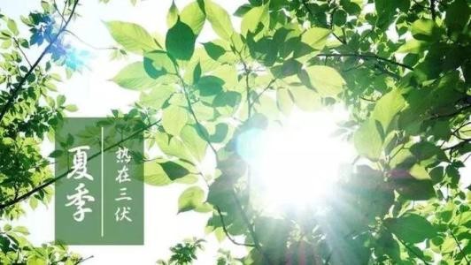 【诗生活】 三伏 文/半二十八画生