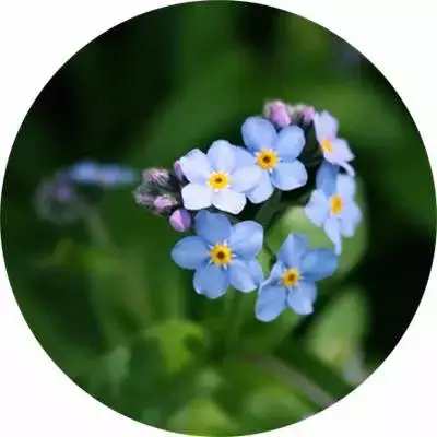 picname