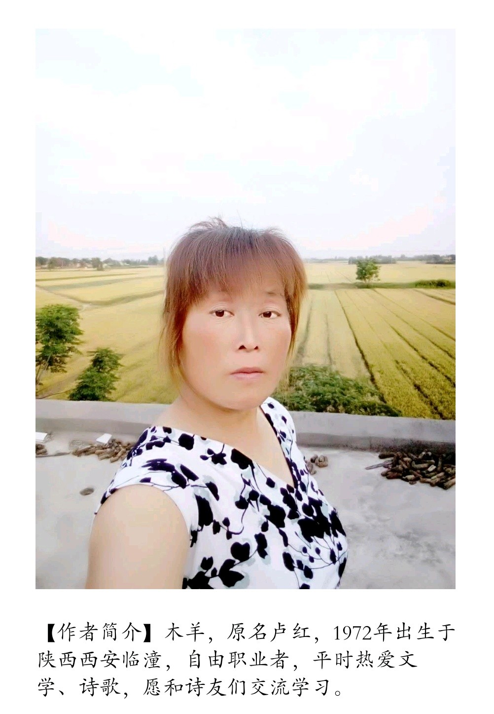 【诗生活】夏日的清凉 ——致天外来客 文/木羊(图2)