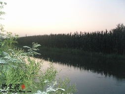 【诗生活】清水河里的生态雨（外一首） 文/民冰