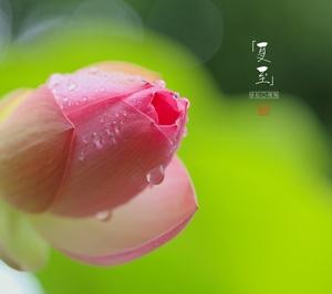 【诗生活】群同题‖夏至（二）‖作者:段福平 风信子 蔡九伍 宋慧敏 刘笃瑜