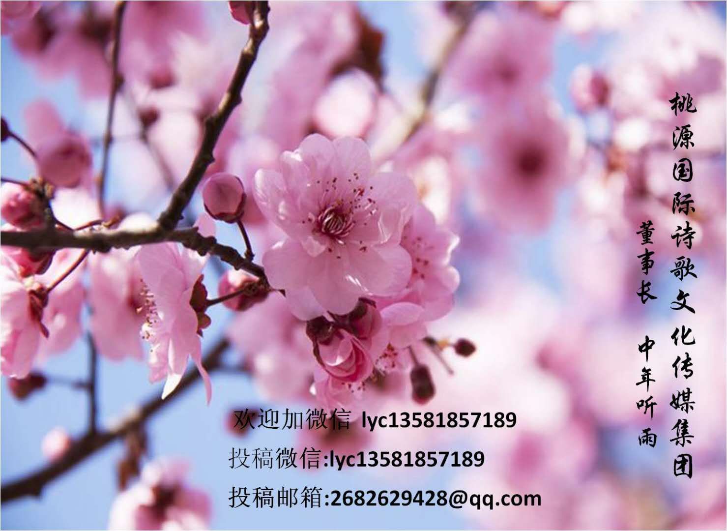 picname