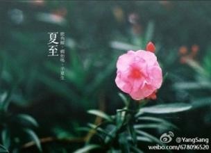【诗生活】群同题‖夏至（五）‖作者: 九毛 河南之西 木羊 木若水 张春梅