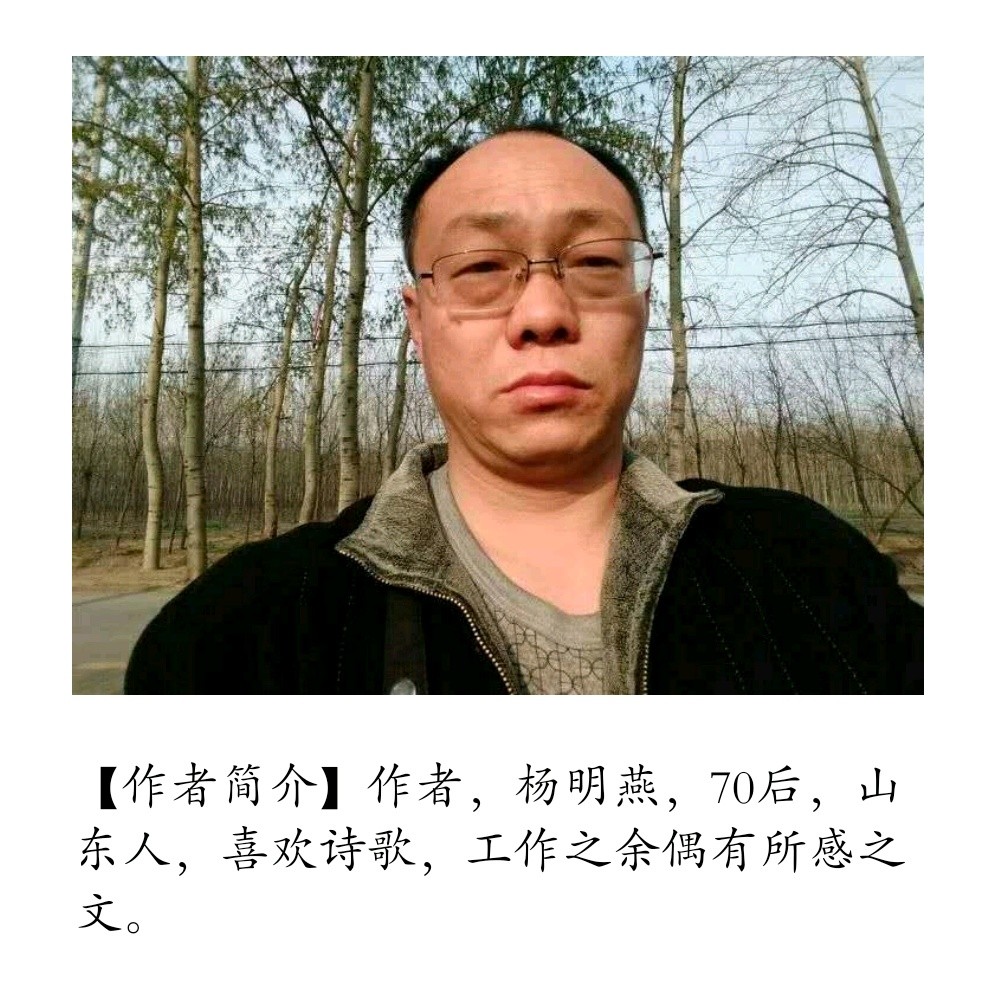 【诗生活】清晨 文/杨明燕（图2）