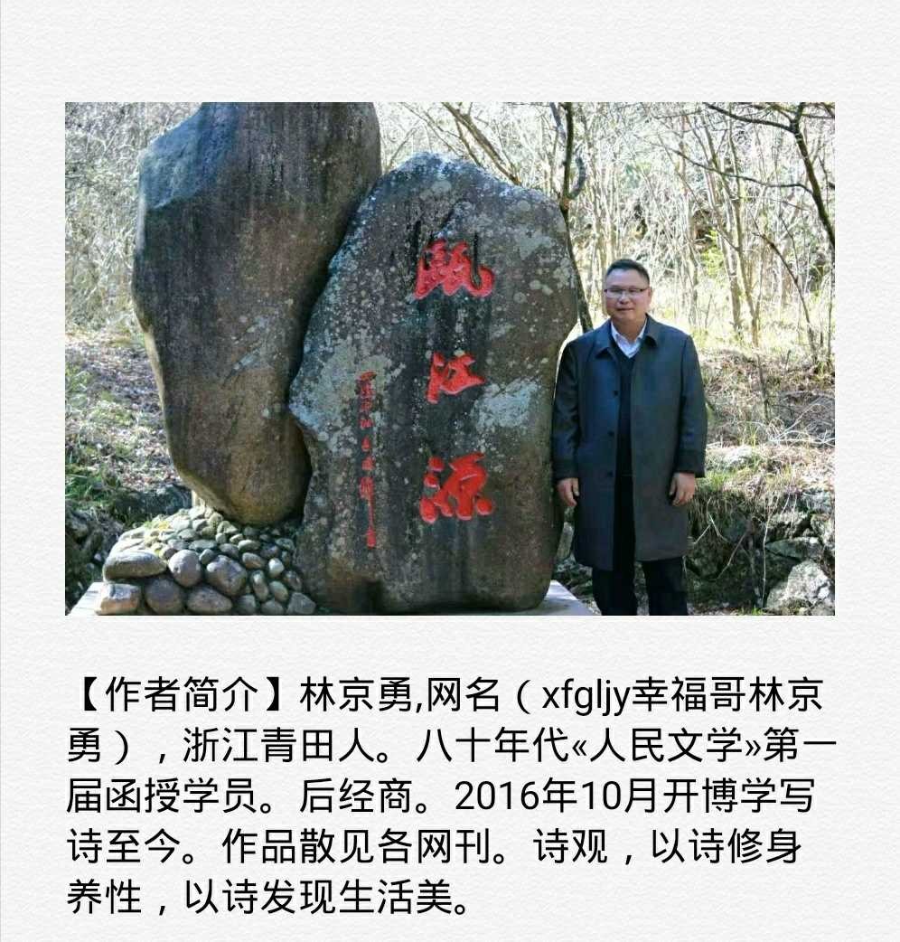 【诗生活】《我开在水上》 文/林京勇（图2）