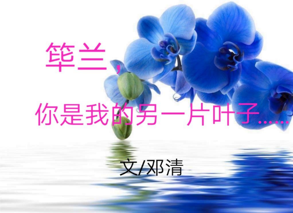 picname