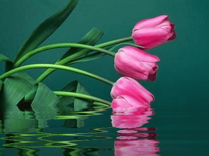 picname