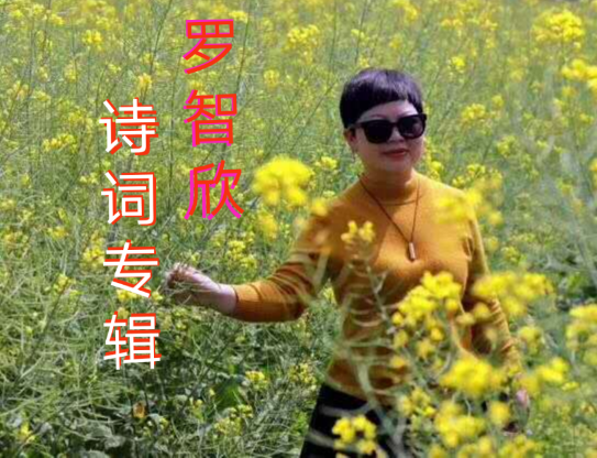 picname