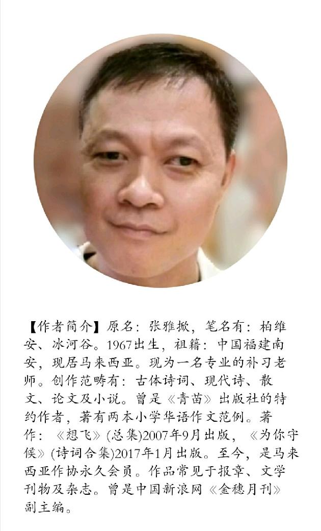 【诗生活】夏夜里的月光 文/张雅掀（图2）