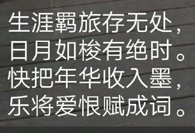 《藏头诗》诗\浅浅雪印儿，字\卢后坤（图2）