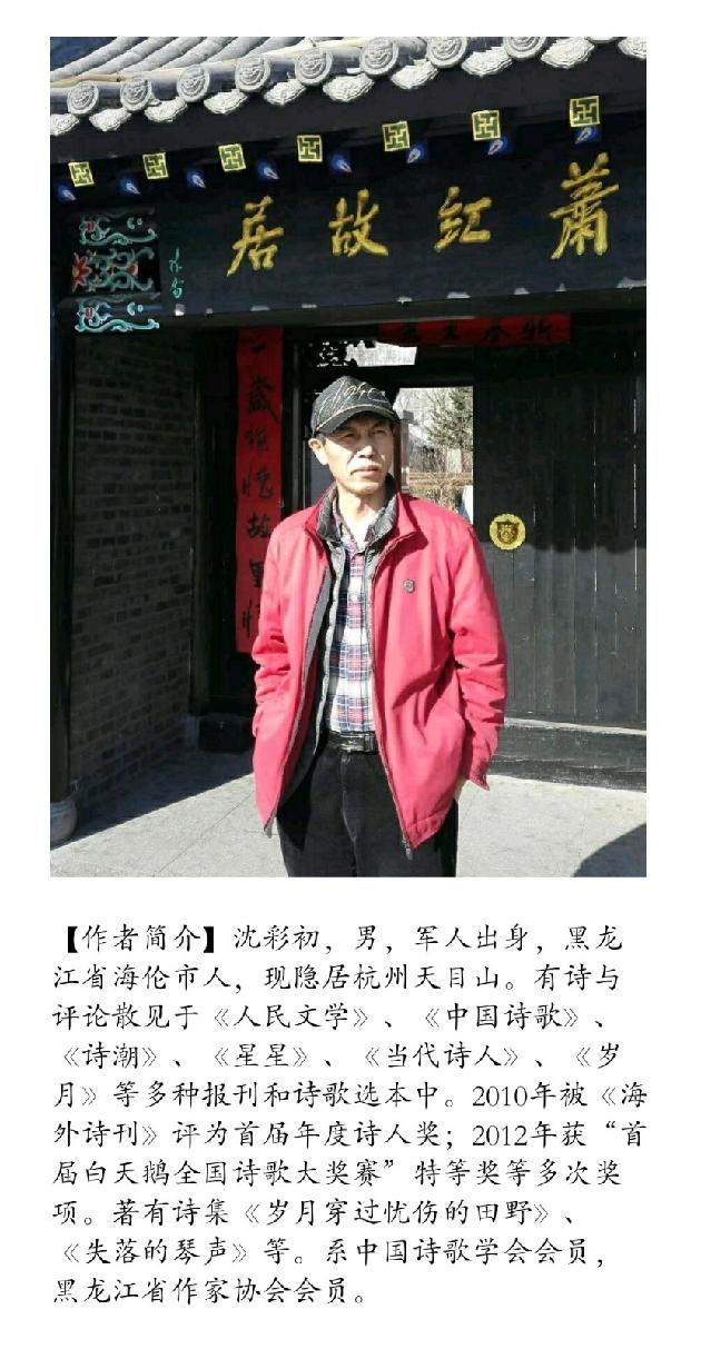 【诗生活】实力诗人‖沈彩初‖七一，我凝视一面党旗（图2）