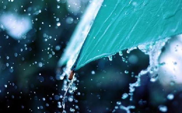 【诗生活】夏雨 文/周颖