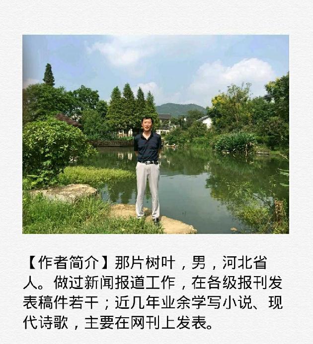 【诗生活】一条老胡同 文/那片树叶（图2）