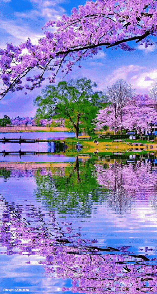 picname