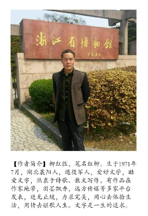【诗生活】爱的传递 文/红柳(图2)