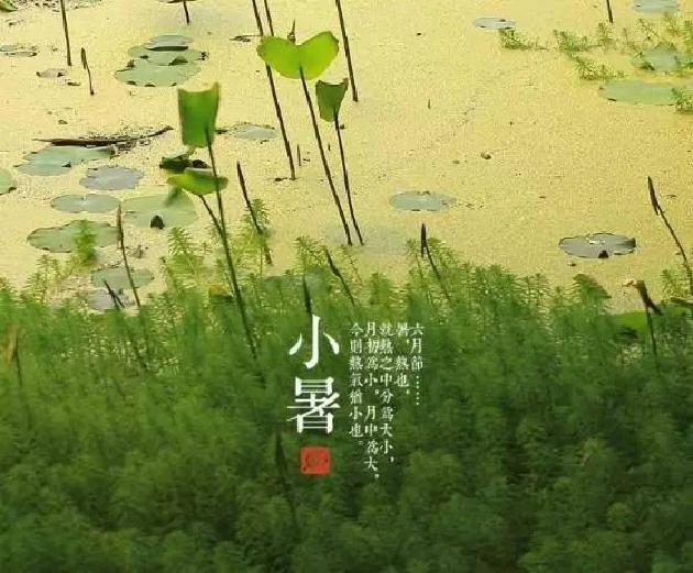 【诗生活】实力诗人‖冯喆‖今日小暑