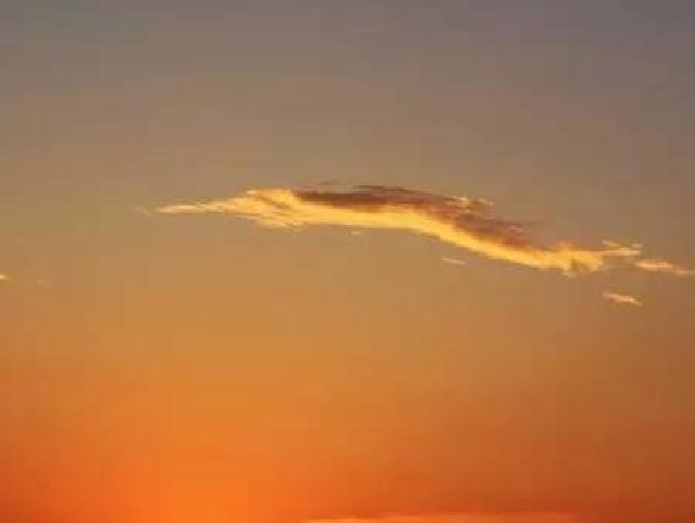 【诗生活】流火的七月 文/ 浪迹天涯