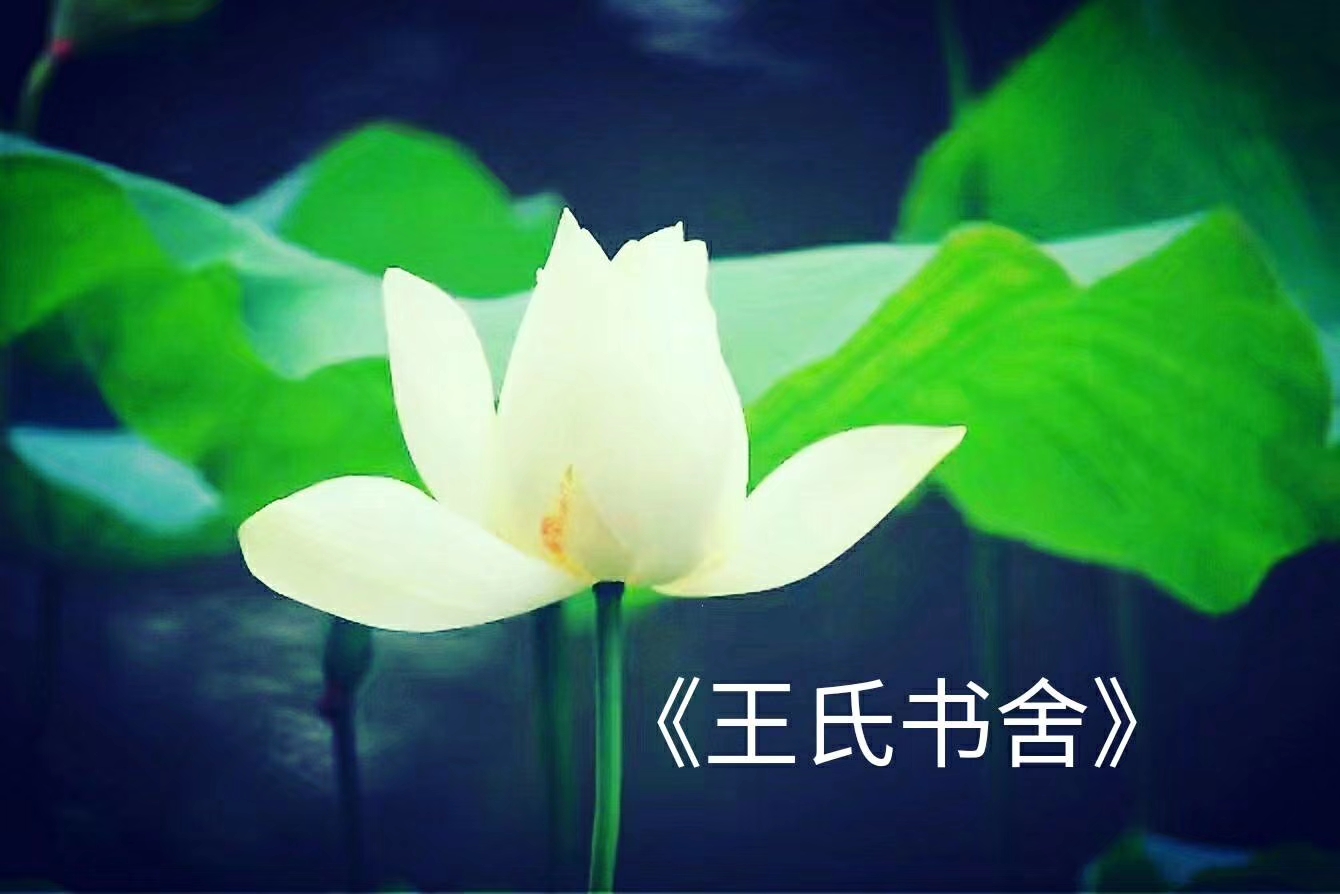 picname