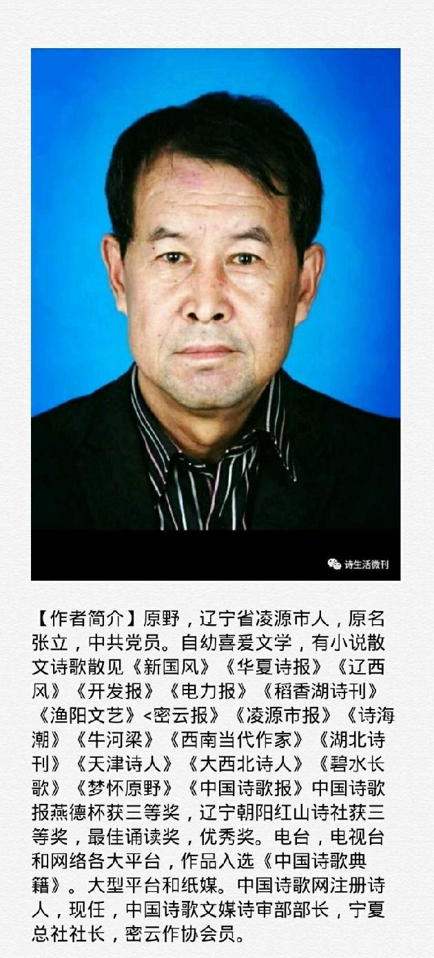 【诗生活】实力诗人‖原野‖苞米熟了（图2）
