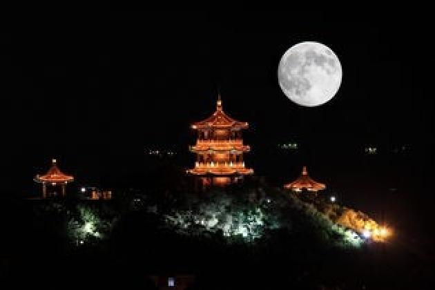 【诗生活】红豆，从月亮上掉下来 文/陈永振