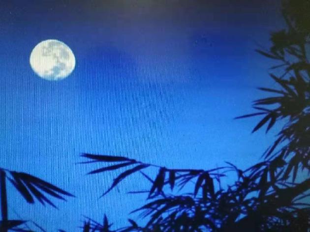【诗生活】夜色温柔 文/半二十八画生