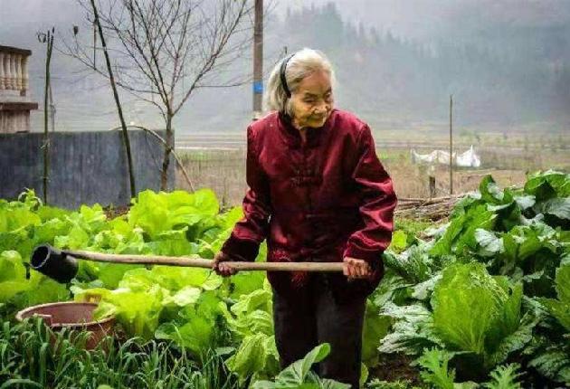 夏牧作品乡野小说:那二姐(5) 文/夏牧（图3）