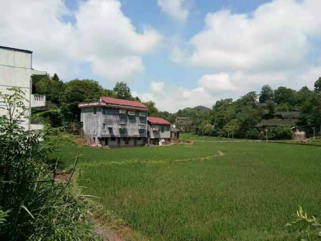 小重山 梦故乡 文/梦（图3）
