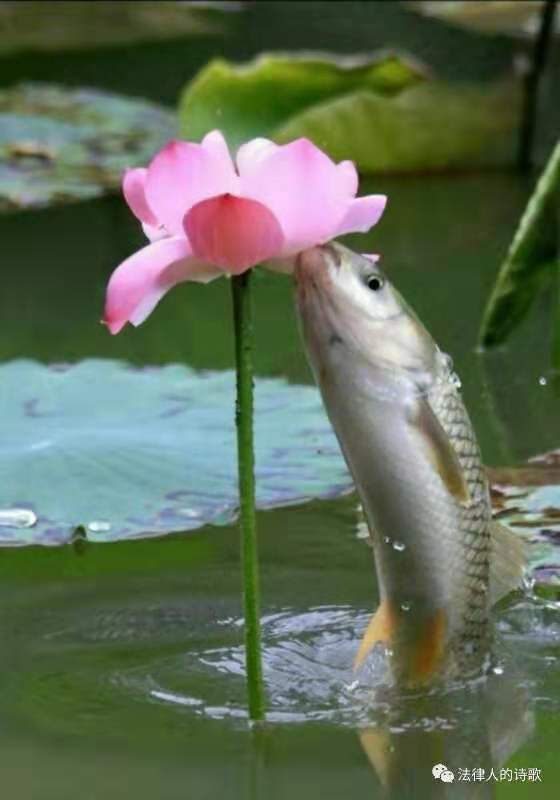 picname