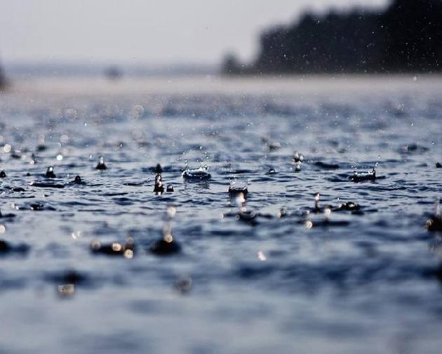 夏雨 文/徐文芳