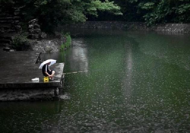 夏雨 文/徐文芳（图3）