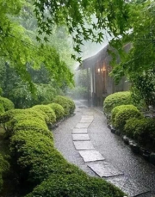 七月雨 文/飞天