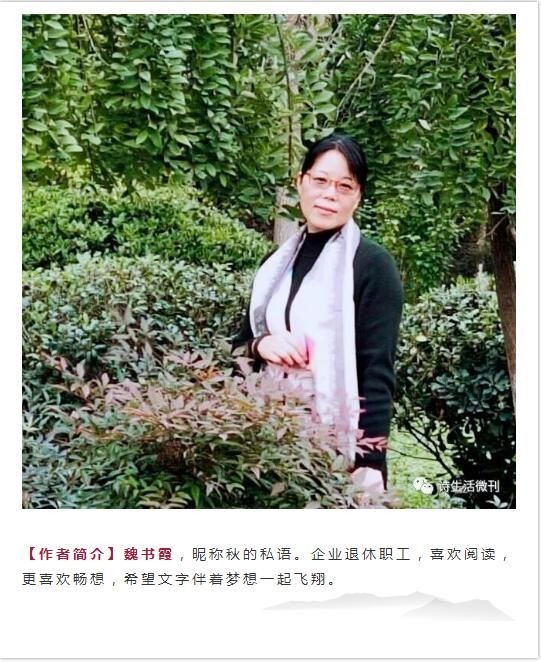 【诗生活】公交车上 文/魏书霞(河南)（图2）