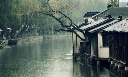 细雨 文/旭华浩林（图2）