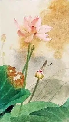 浙江朱守平老师的作品（图2）
