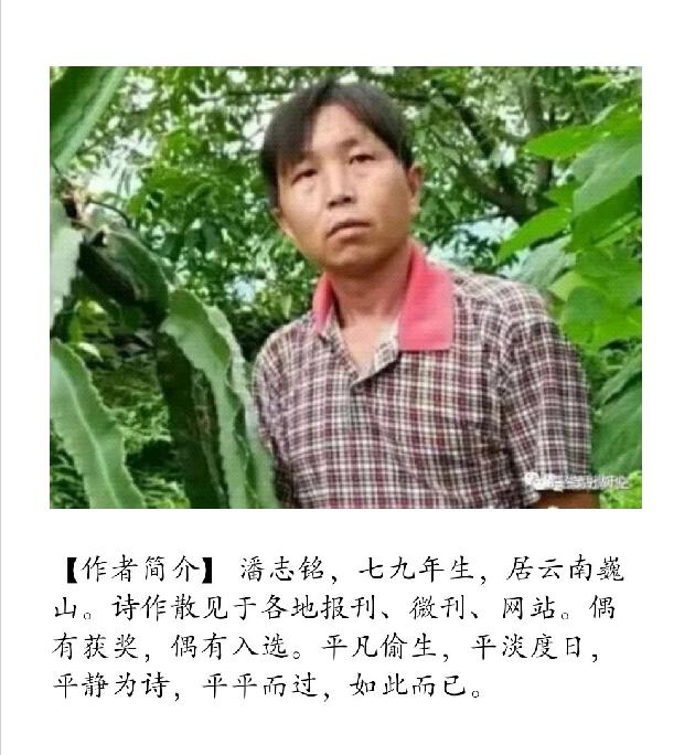 【诗生活】火把节，我在巍山等你 文/潘志铭（图2）