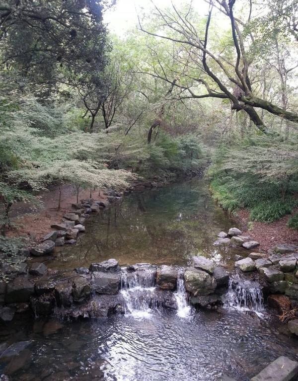 山涧行 文/山涧悠客