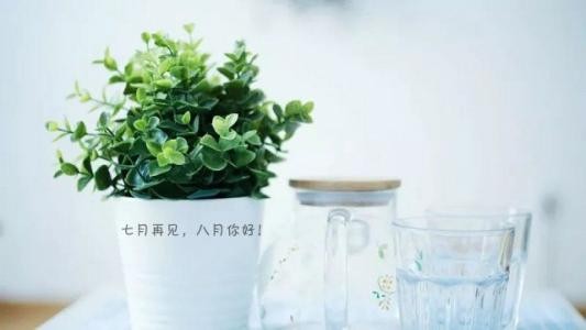 七月再见，八月您好 文/孔繁恩（图2）