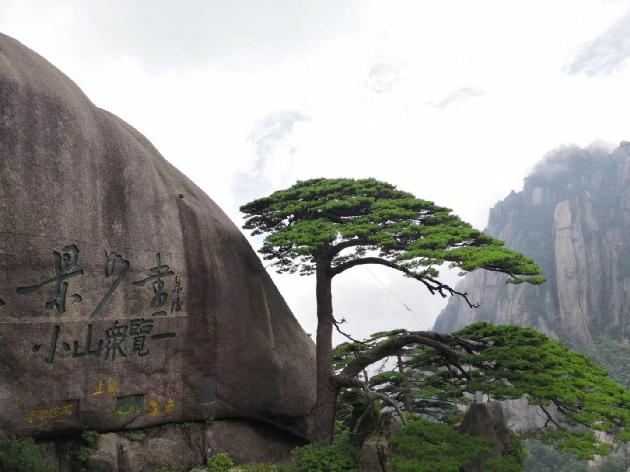 七绝‖黄山 文/陈荣富
