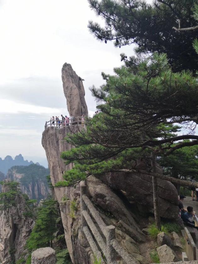 七绝‖黄山 文/陈荣富（图2）