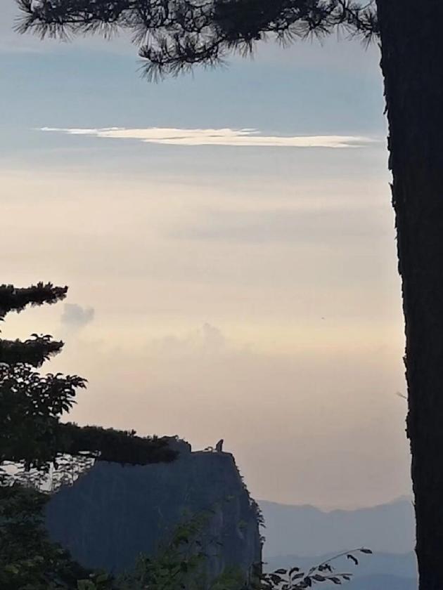 七绝‖黄山 文/陈荣富（图3）