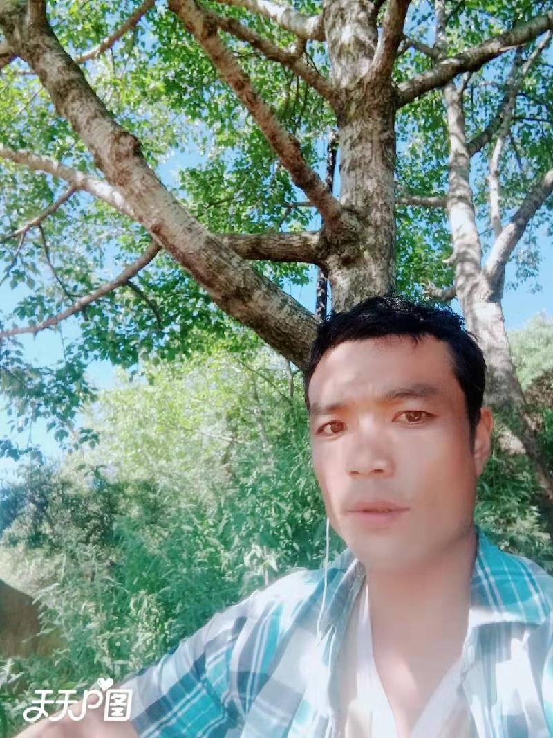 picname