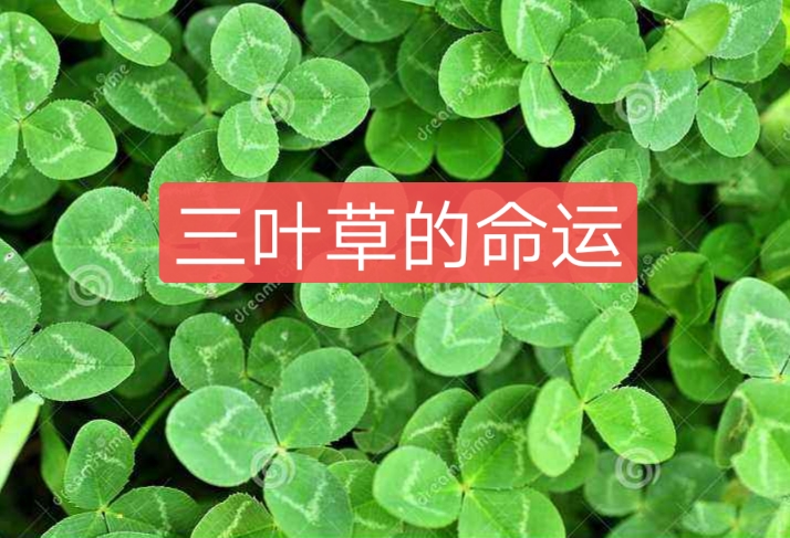 picname