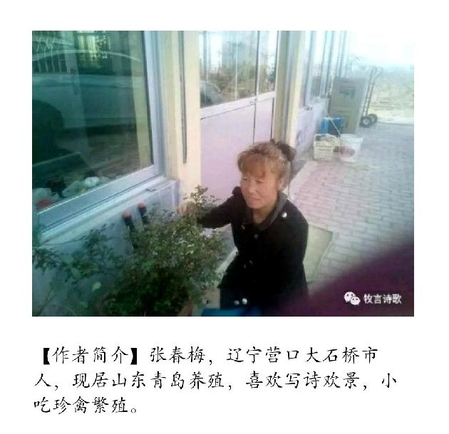 【诗生活】八一 ‖ 文/张春梅/辽宁营口（图2）