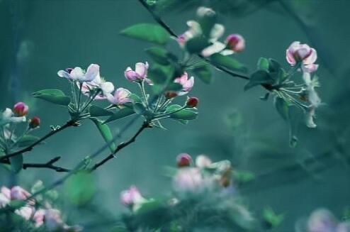 【诗生活】心上有个人才能活 ‖ 文/水弦