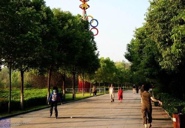 【七律】有这么一群人晨步 文/言一寺
